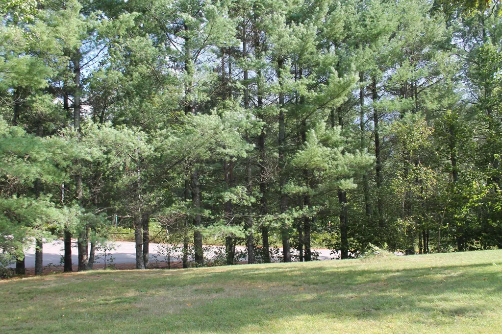 209 Cloutier Drive Stark NH 03582