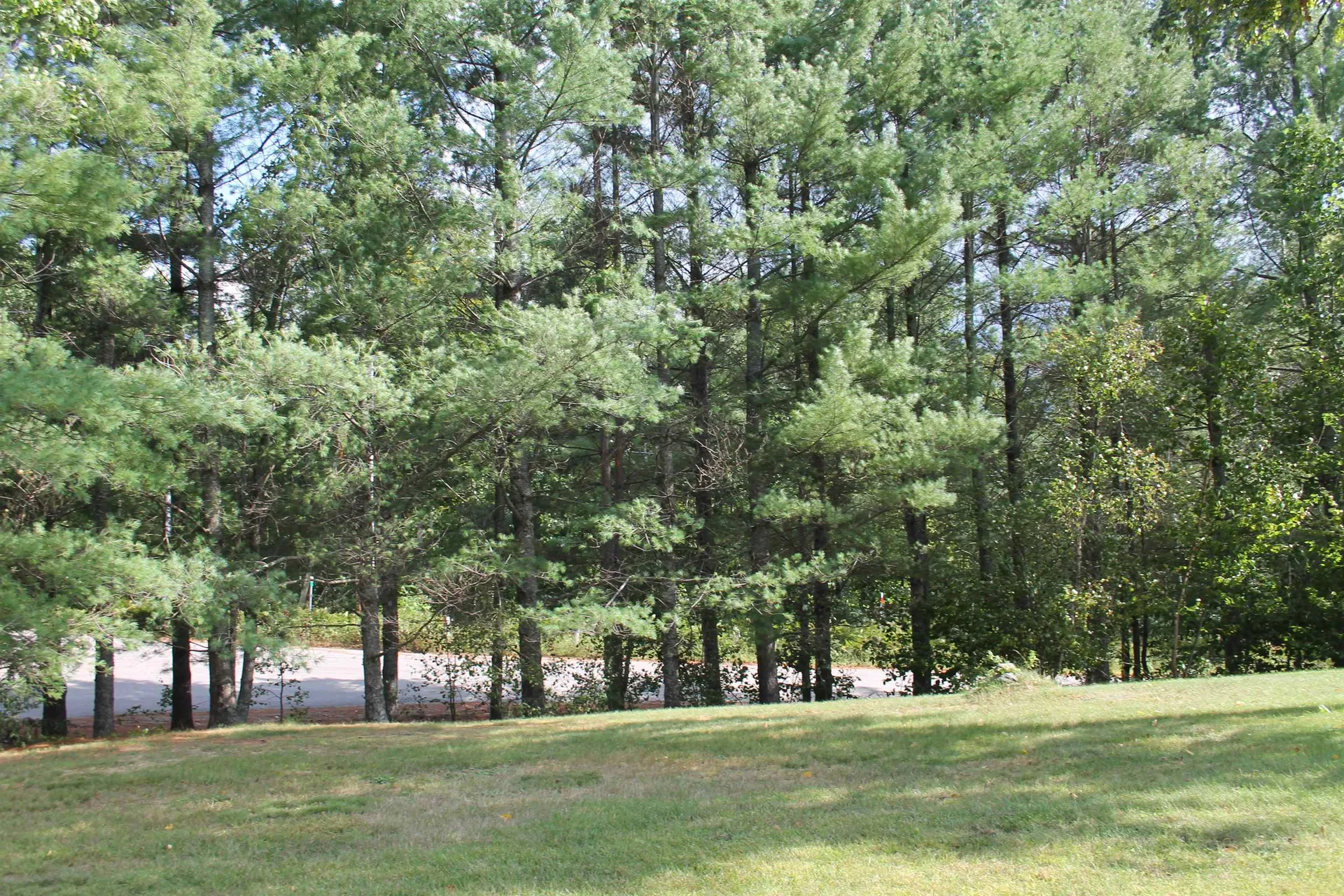 209 Cloutier Drive Stark NH 03582