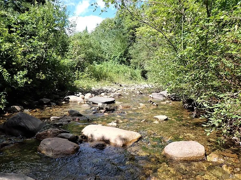 0 Willey Hill Road Topsham VT 05076