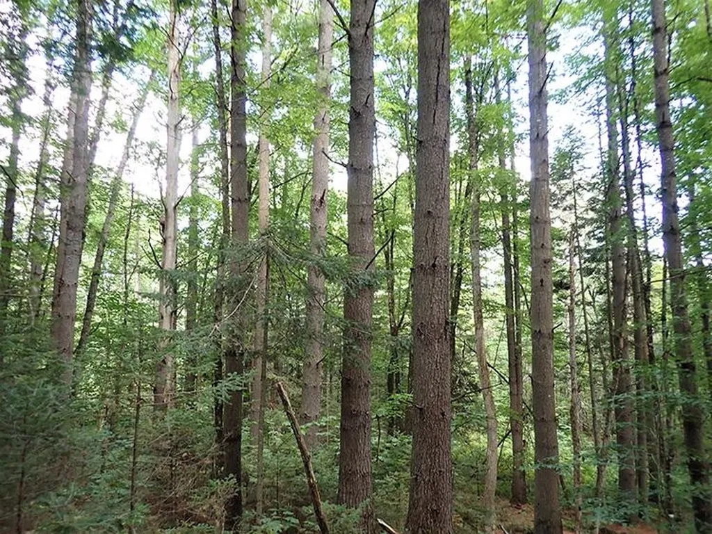 0 Willey Hill Road Topsham VT 05076
