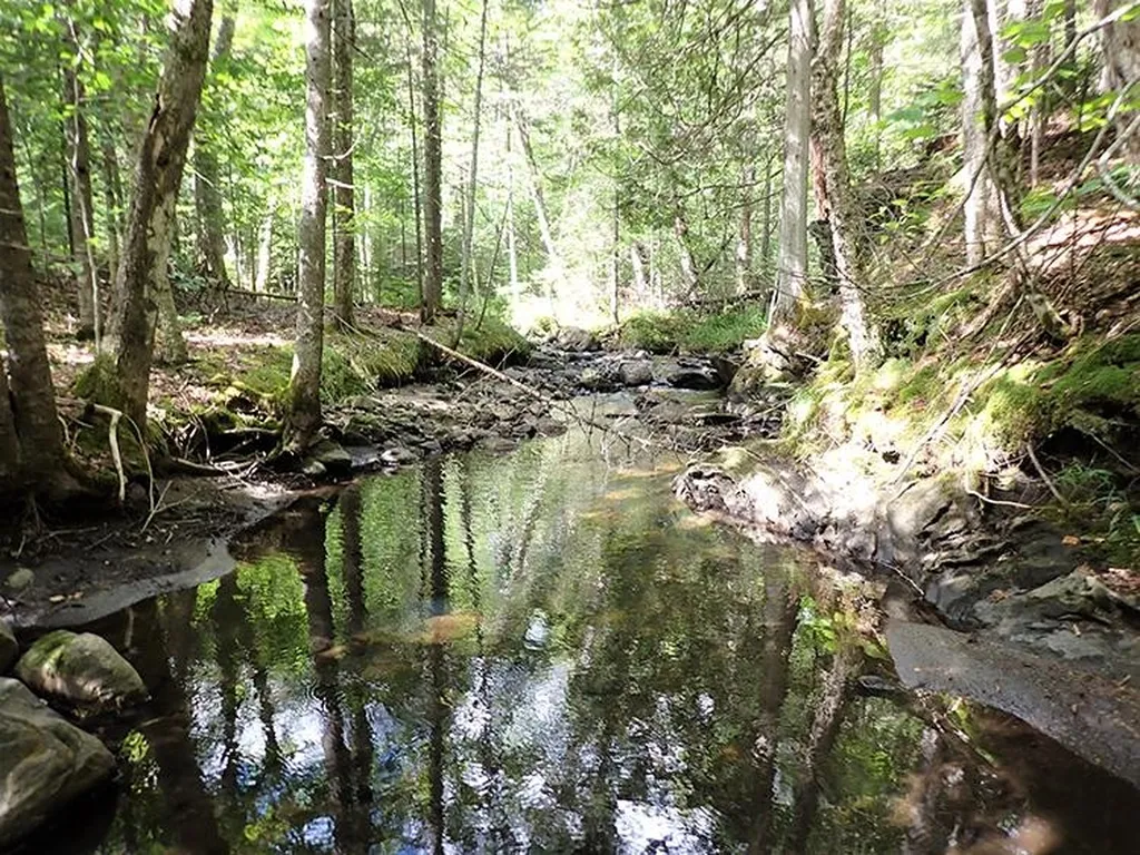 0 Willey Hill Road Topsham VT 05076