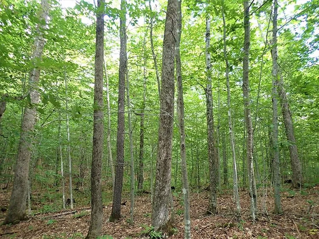 0 Willey Hill Road Topsham VT 05076