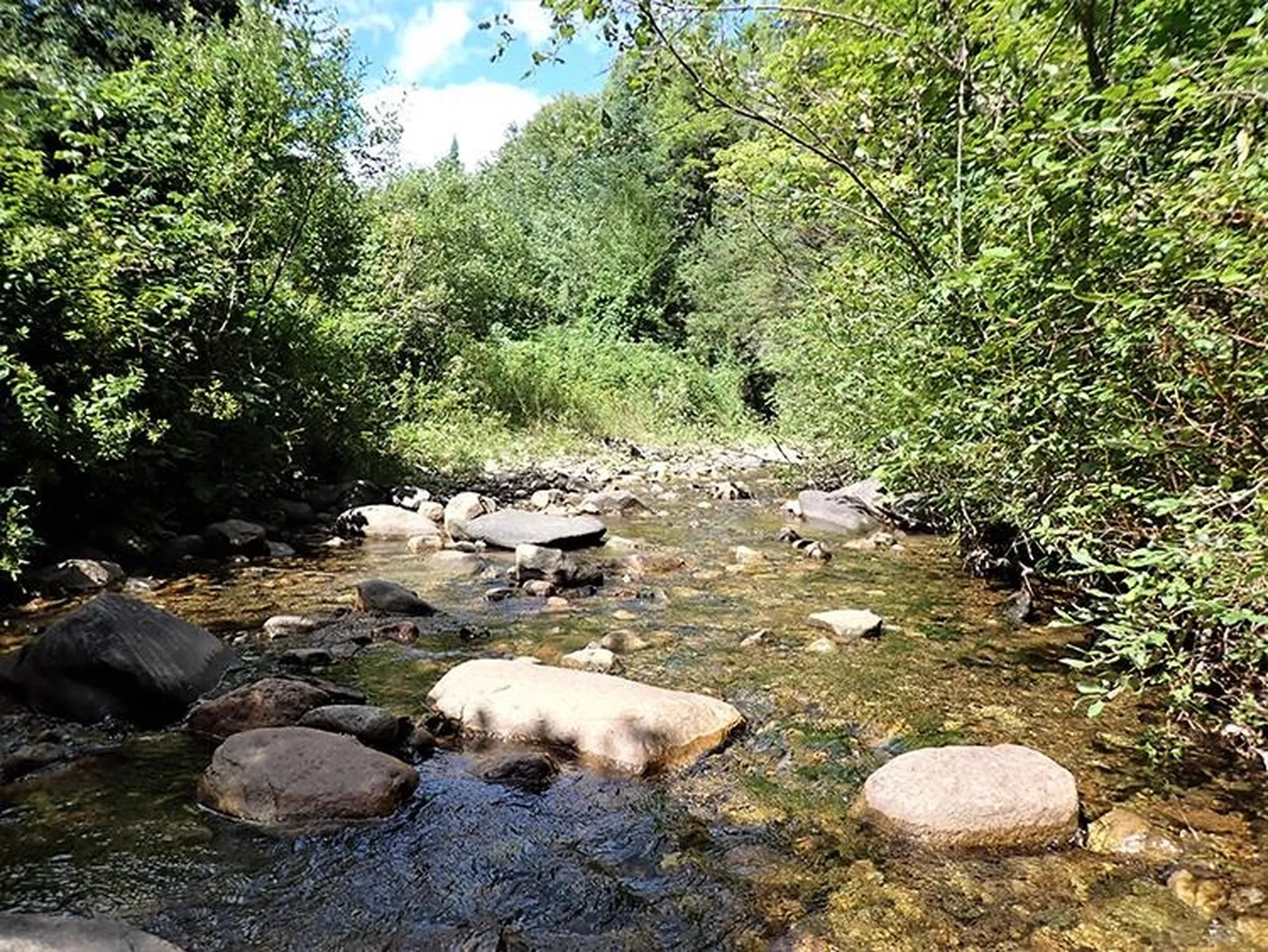 0 Willey Hill Road Topsham VT 05076