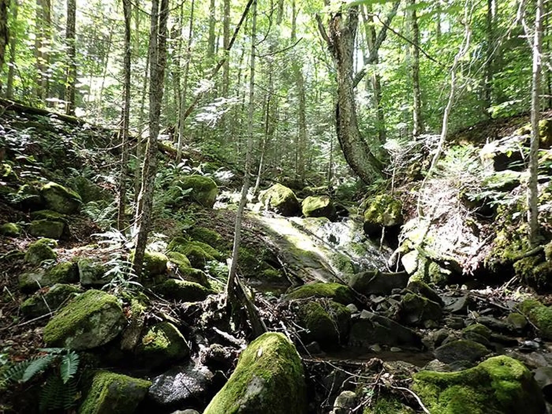 0 Willey Hill Road Topsham VT 05076