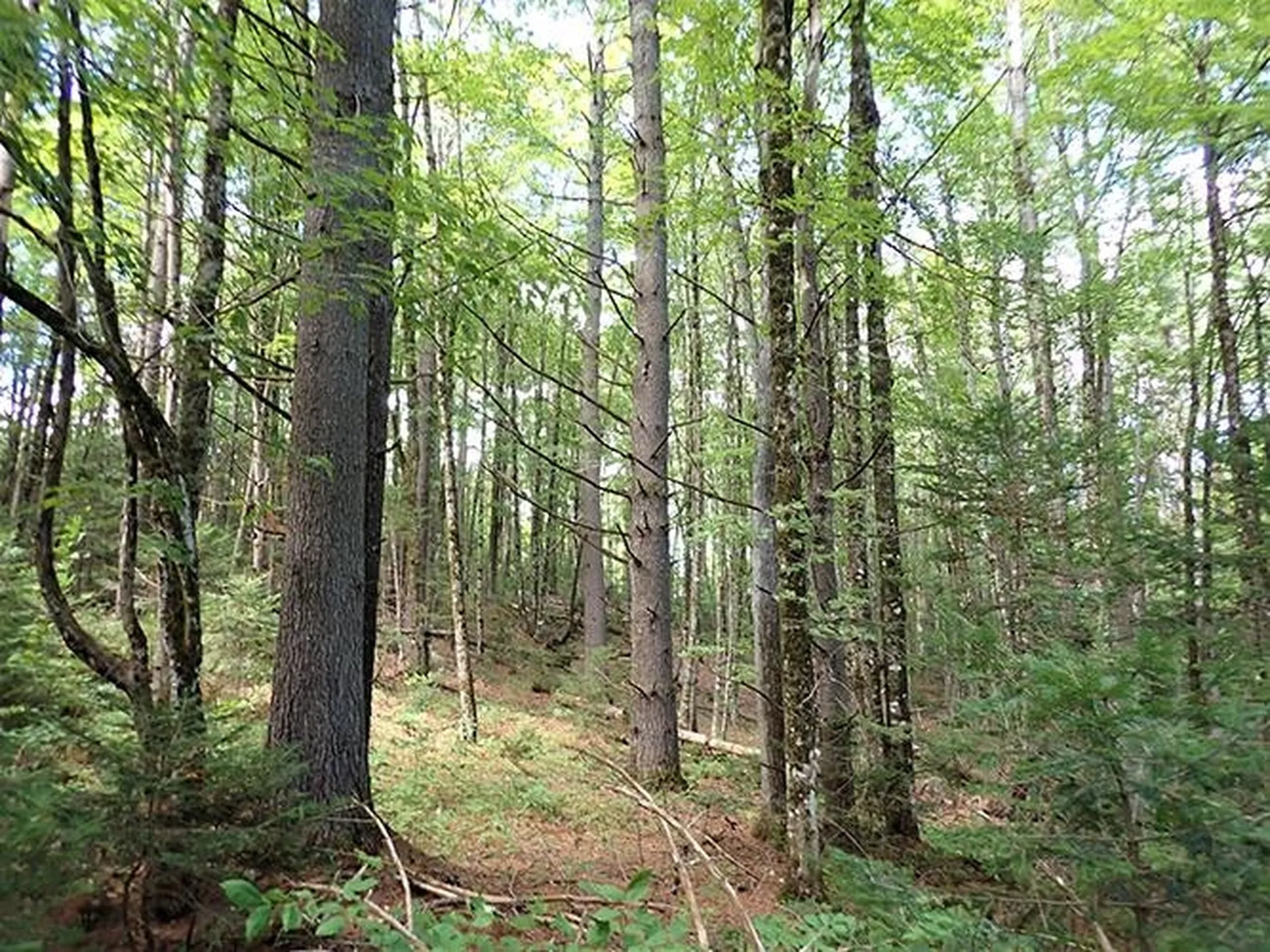 0 Willey Hill Road Topsham VT 05076
