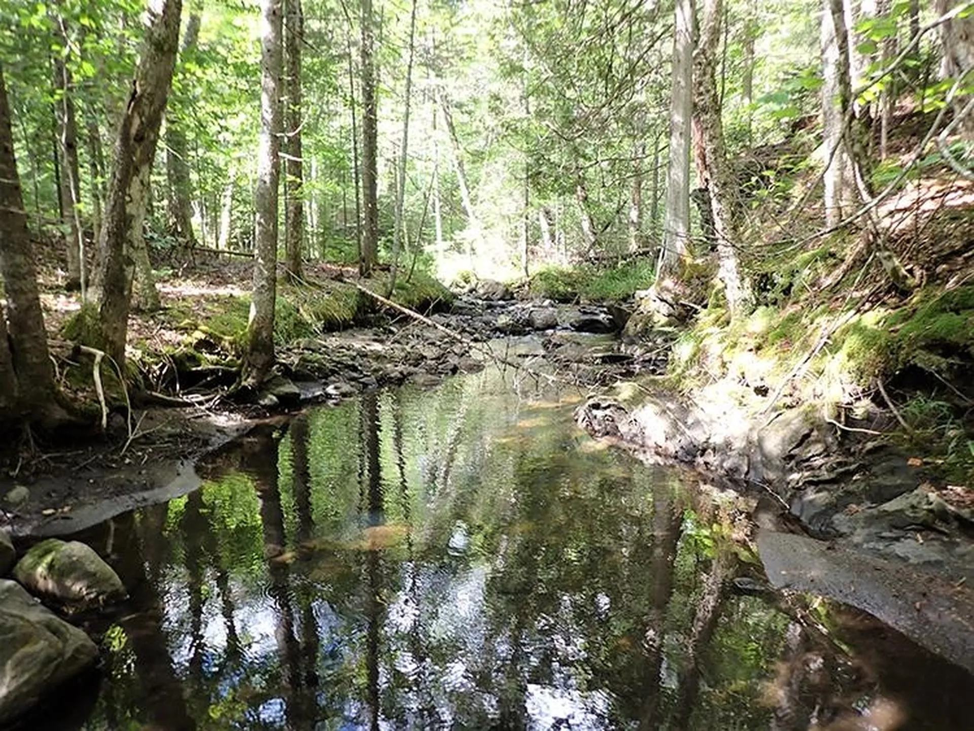 0 Willey Hill Road Topsham VT 05076