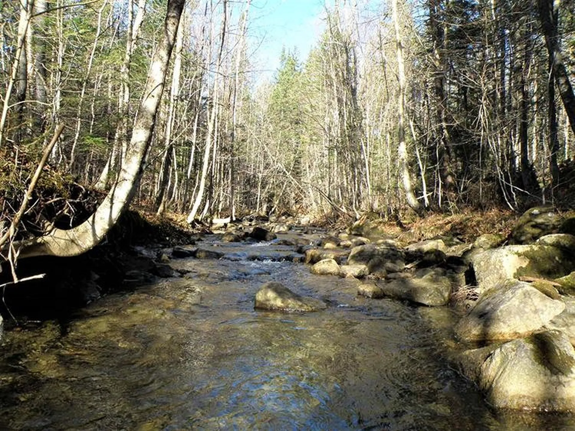 0 Willey Hill Road Topsham VT 05076