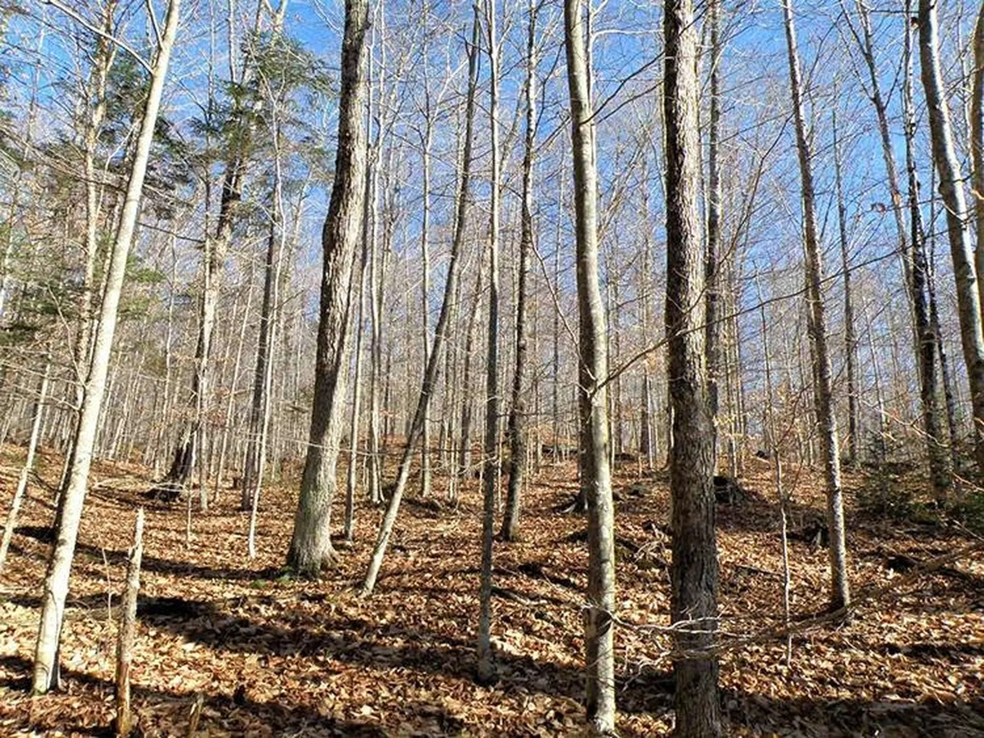 0 Willey Hill Road Topsham VT 05076