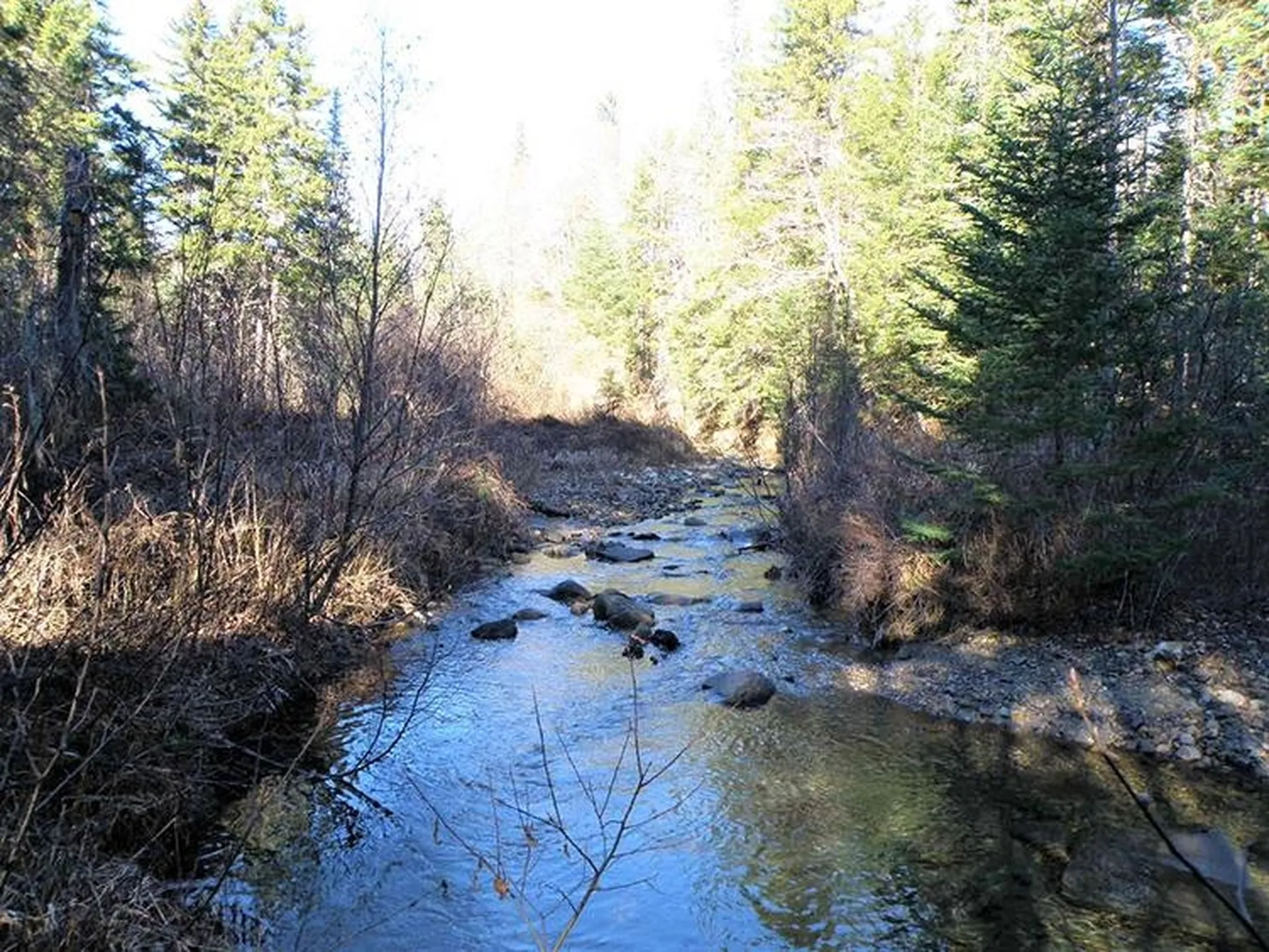 0 Willey Hill Road Topsham VT 05076