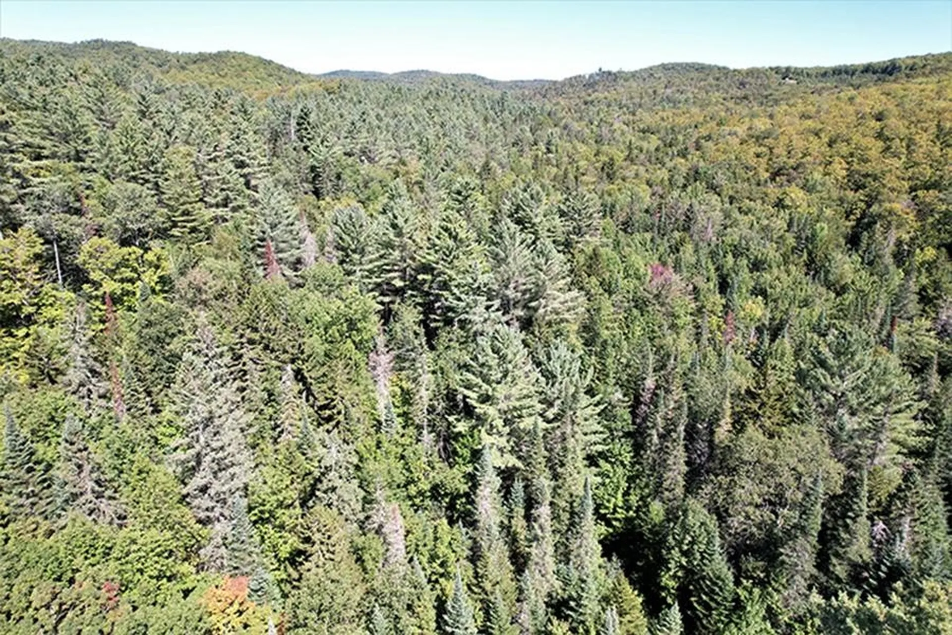 0 Willey Hill Road Topsham VT 05076