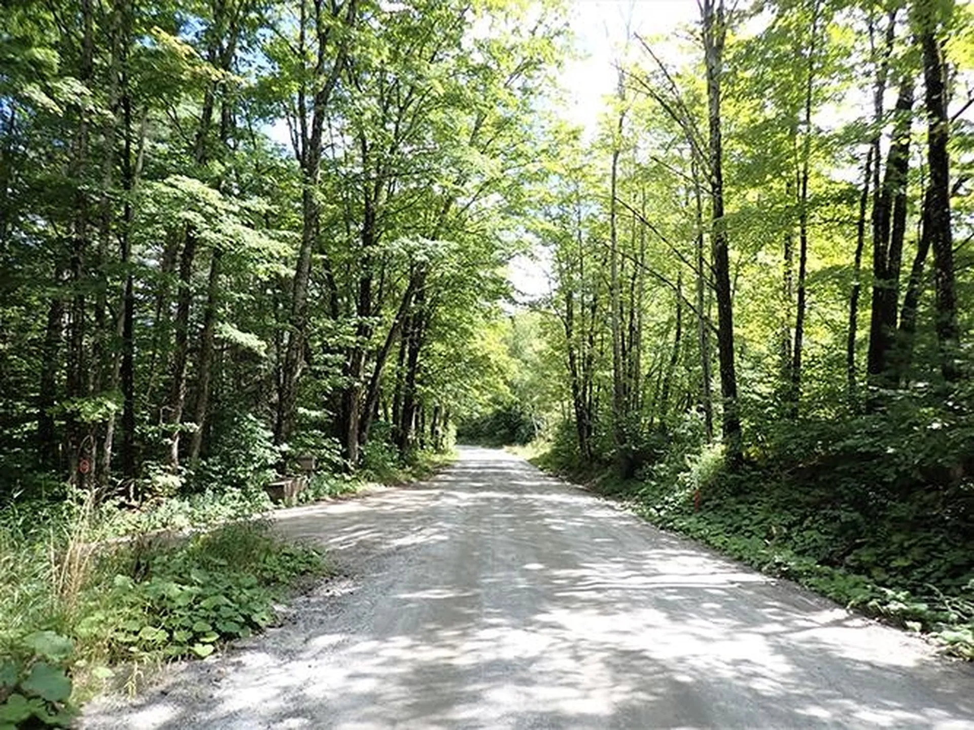 0 Willey Hill Road Topsham VT 05076