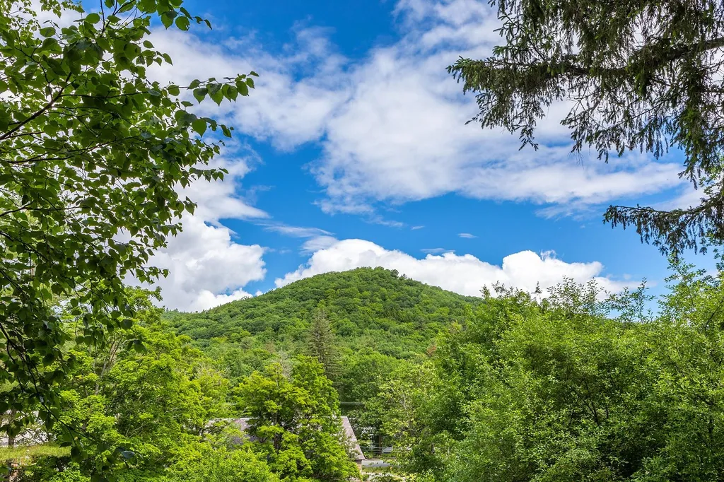 11 College Hill Woodstock VT 05091