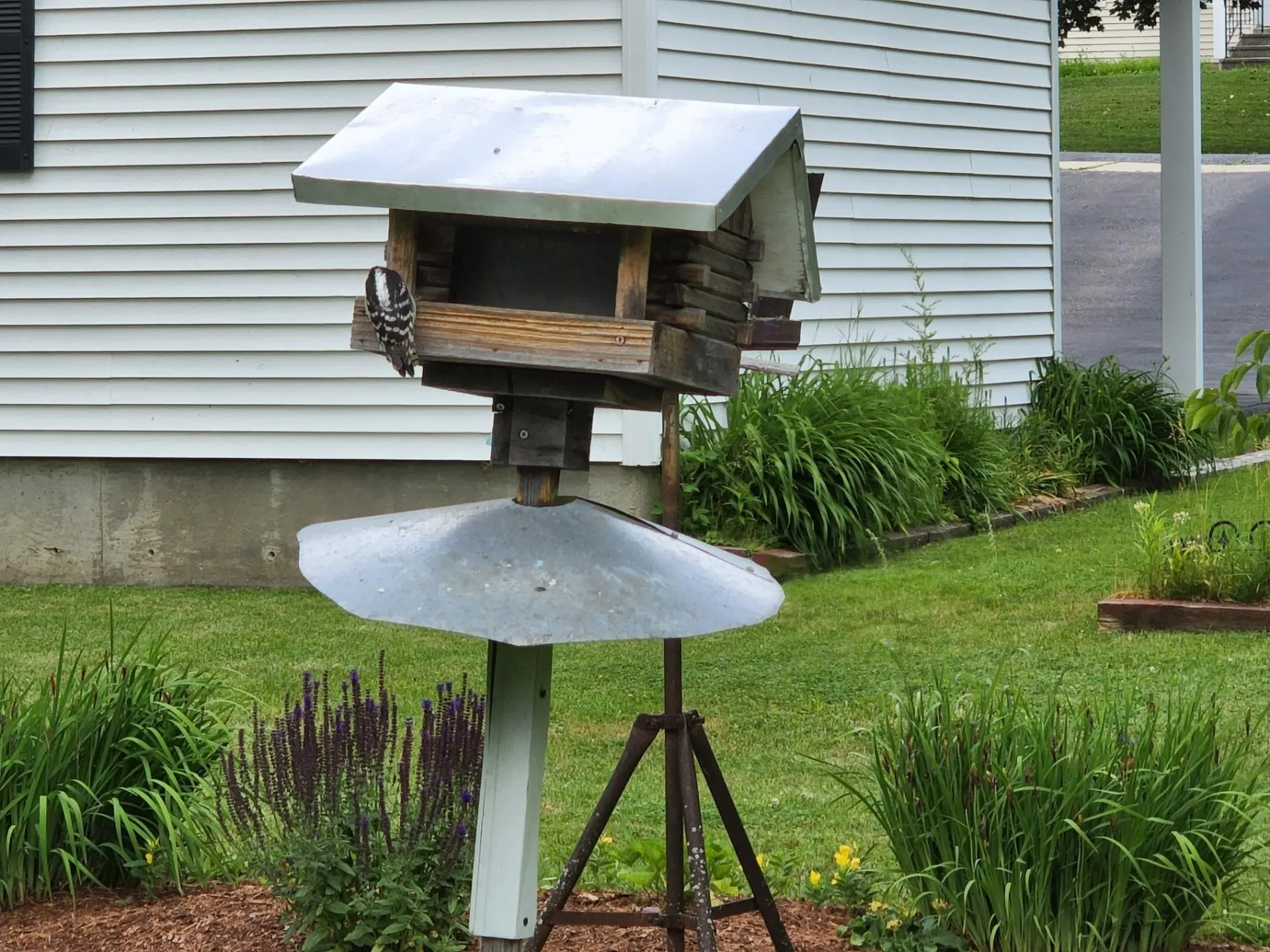 97 South Water Street Vergennes VT 05491