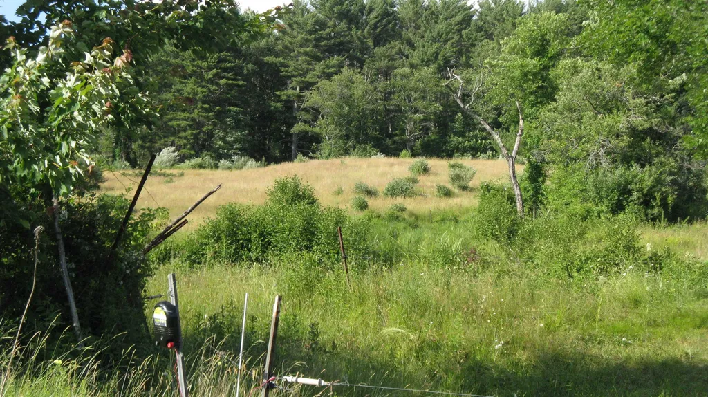 80 New Durham Road Alton NH 03809