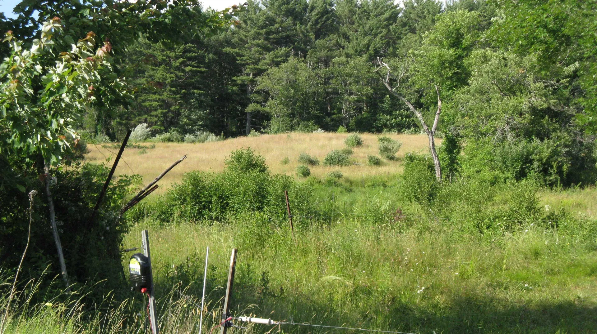 80 New Durham Road Alton NH 03809