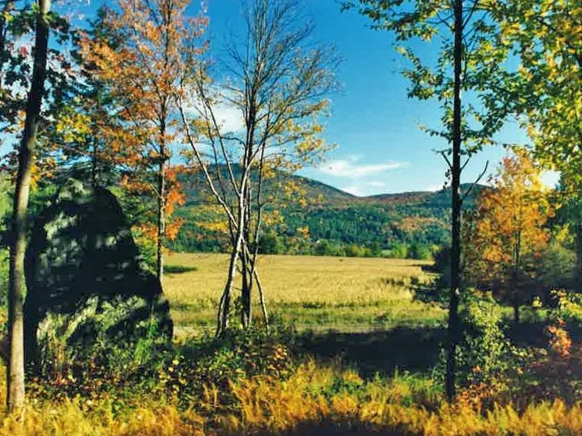 00 Derby Farm Lane Moretown VT 05660