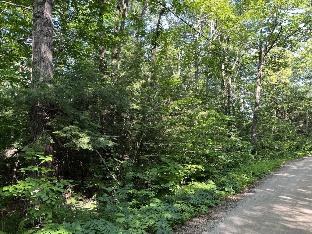 0 Bible Hill Extension Francestown NH 03043