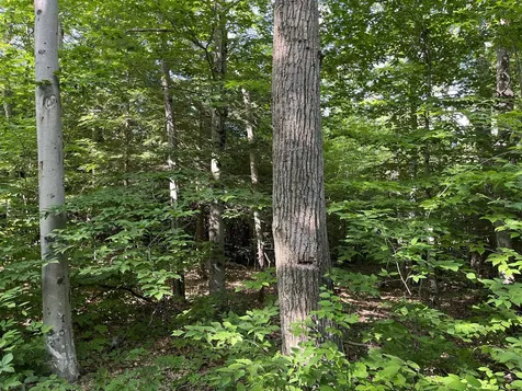 0 Bible Hill Extension Francestown NH 03043