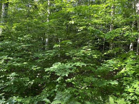 0 Bible Hill Extension Francestown NH 03043