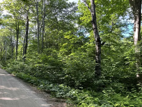 0 Bible Hill Extension Francestown NH 03043