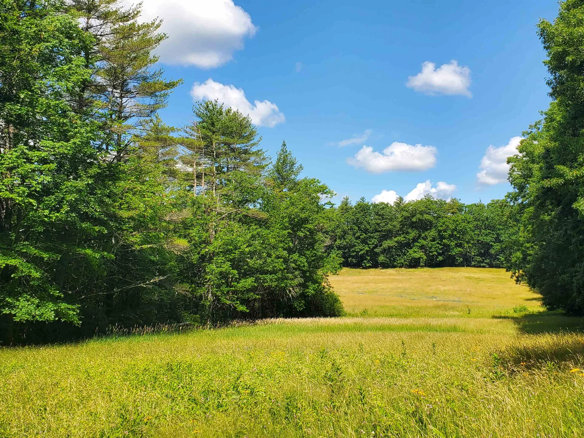 5 Cherry Lane Madbury NH 03823