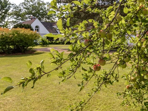 193 Beaver Creek Road Shelburne VT 05482