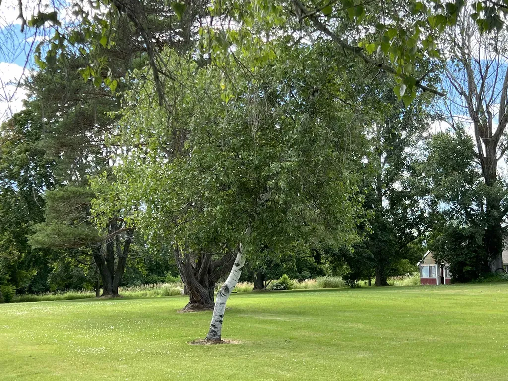 406 S. Bingham Street Cornwall VT 05753