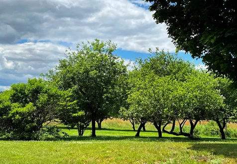 3772 Duck Pond Road Waterford VT 05848