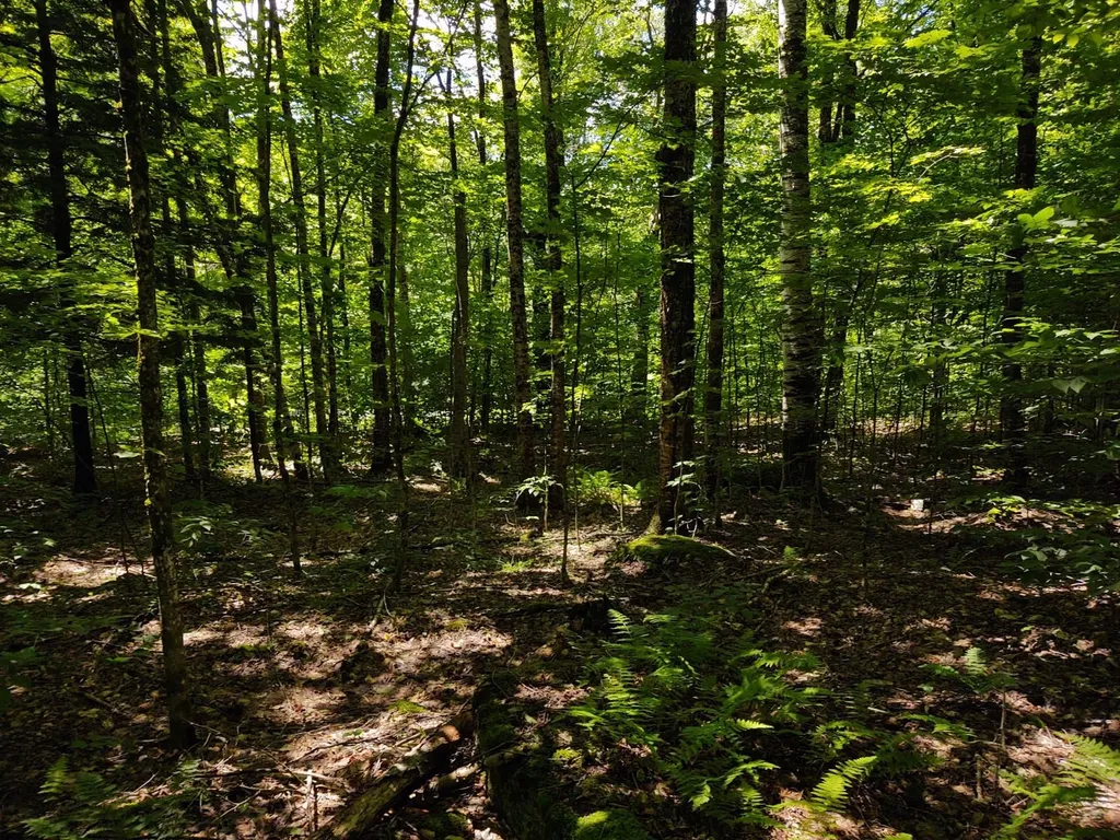 Montgomery Heights Road Montgomery VT 05471