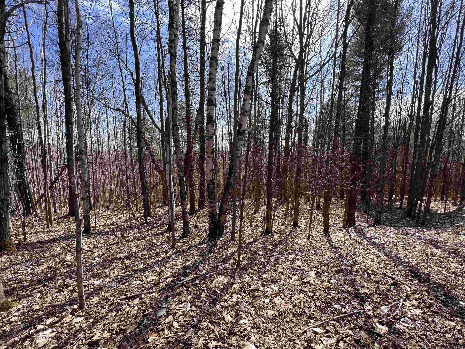 92 Richardson Road Vershire VT 05079