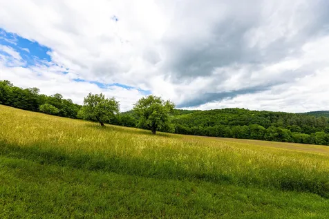 92 Richardson Road Vershire VT 05079