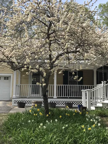 39 Bonnyvale Road Brattleboro VT 05301