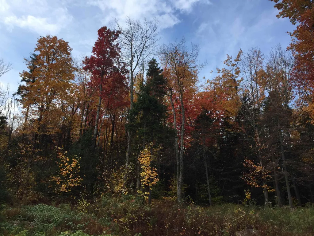1420 Vt Route 9 Searsburg VT 05363
