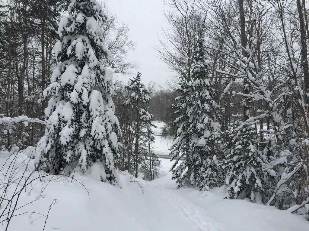 1420 Vt Route 9 Searsburg VT 05363