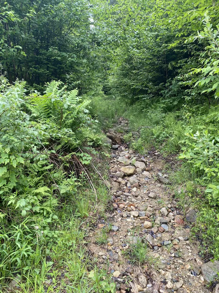 1420 Vt Route 9 Searsburg VT 05363