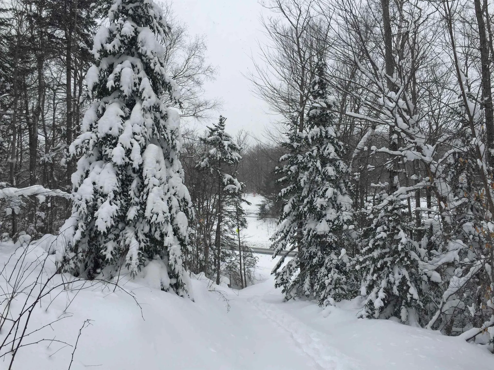 1420 Vt Route 9 Searsburg VT 05363