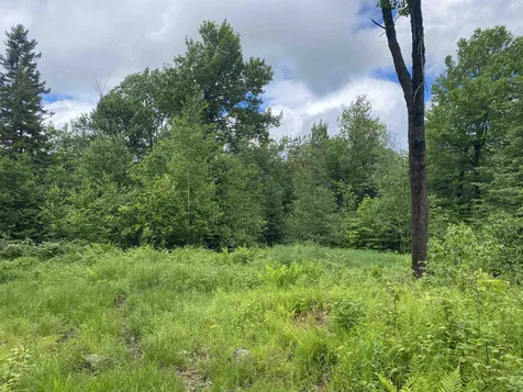 1420 Vt Route 9 Searsburg VT 05363