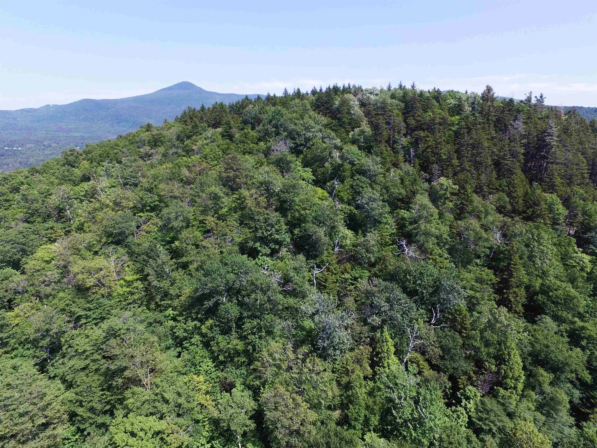 3410 Us Route 4 Mendon VT 05701
