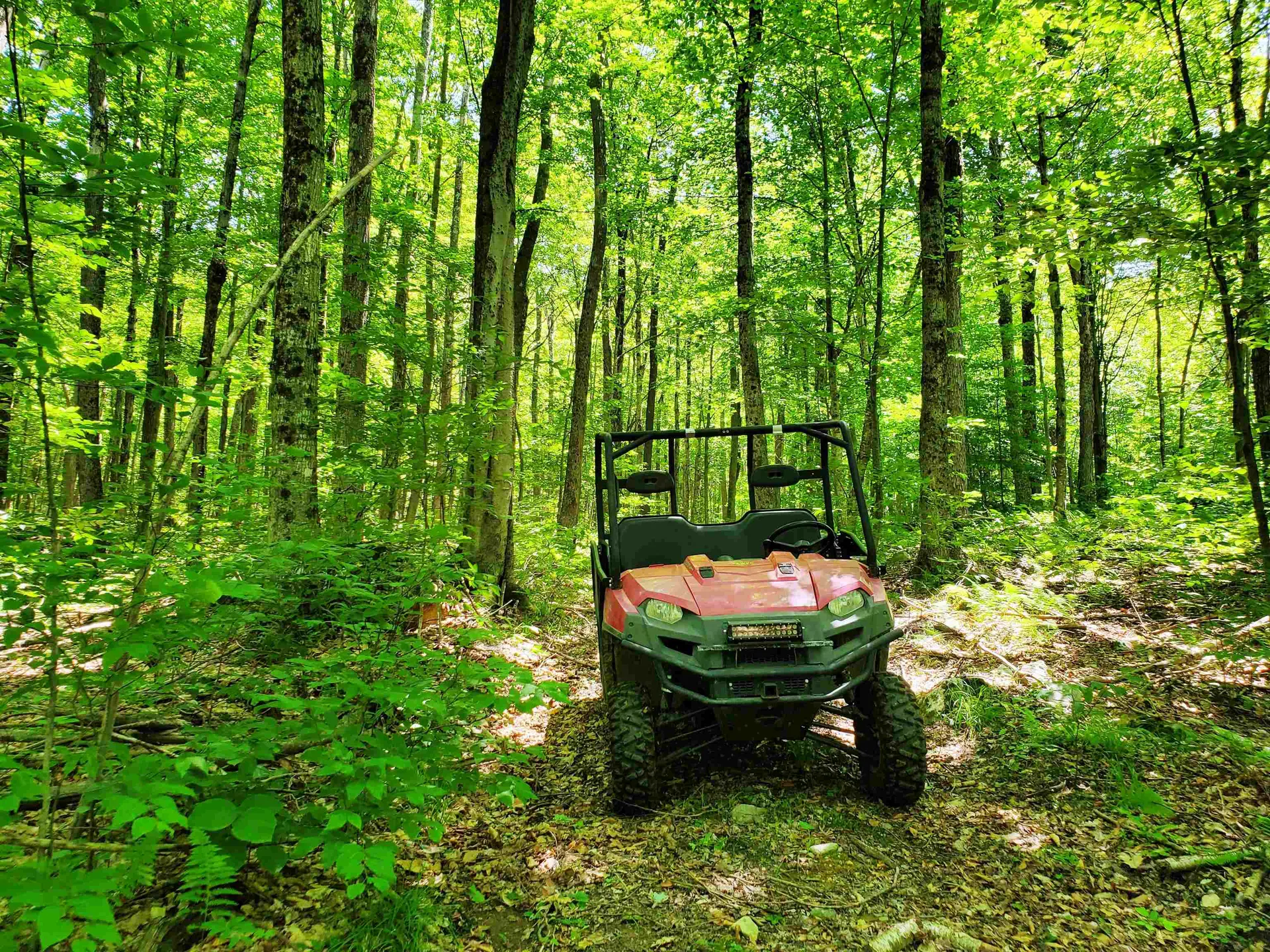 3410 Us Route 4 Mendon VT 05701