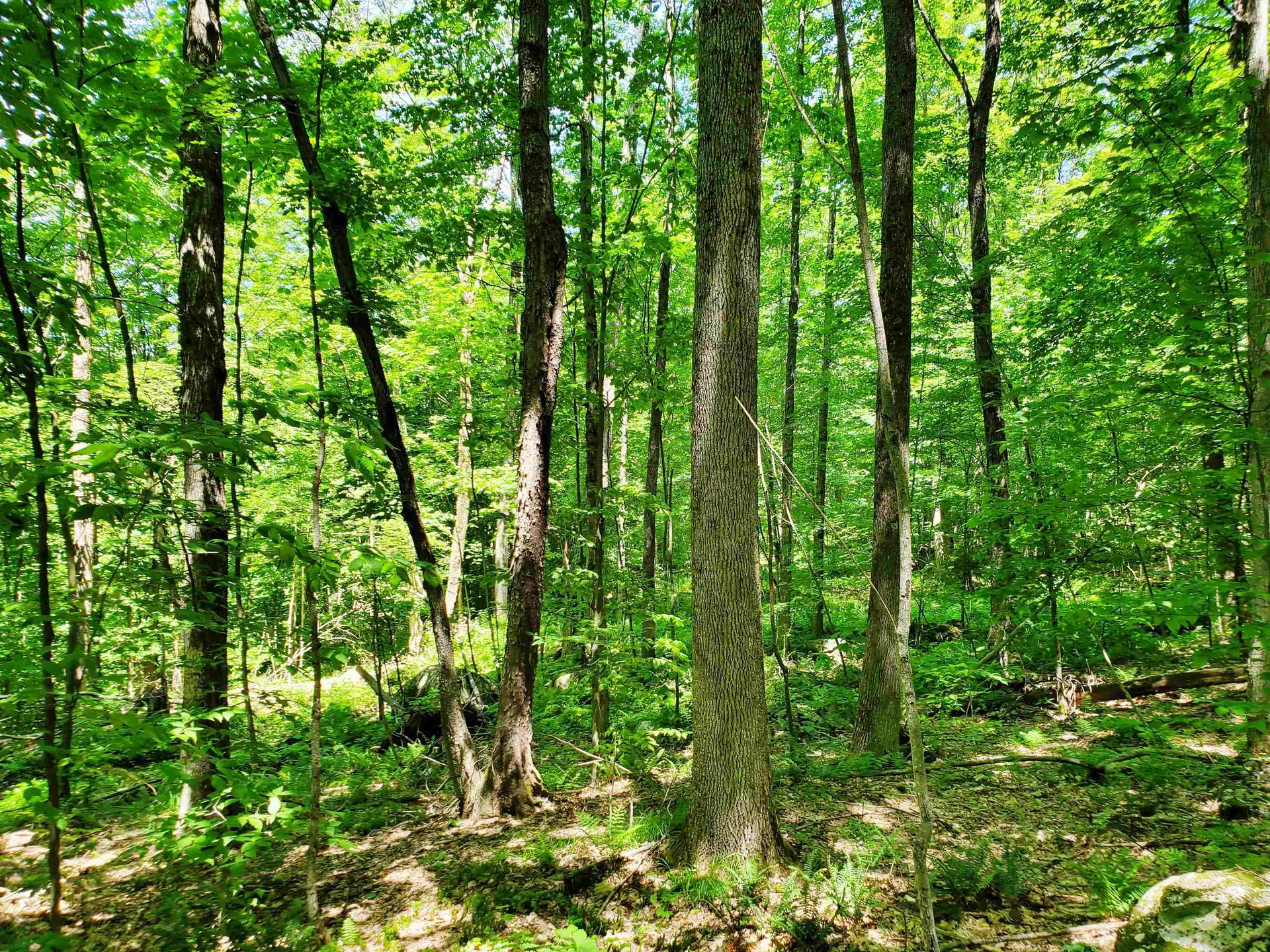 3410 Us Route 4 Mendon VT 05701