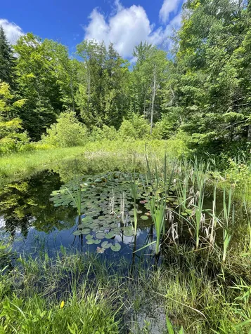 463 Tilton Road Washington VT 05675