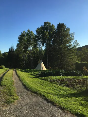 463 Tilton Road Washington VT 05675