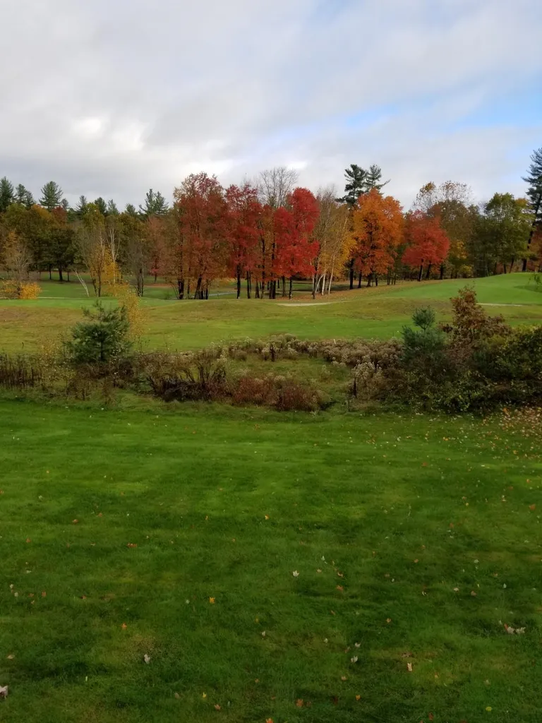 15 Freemans Way Hollis NH 03049