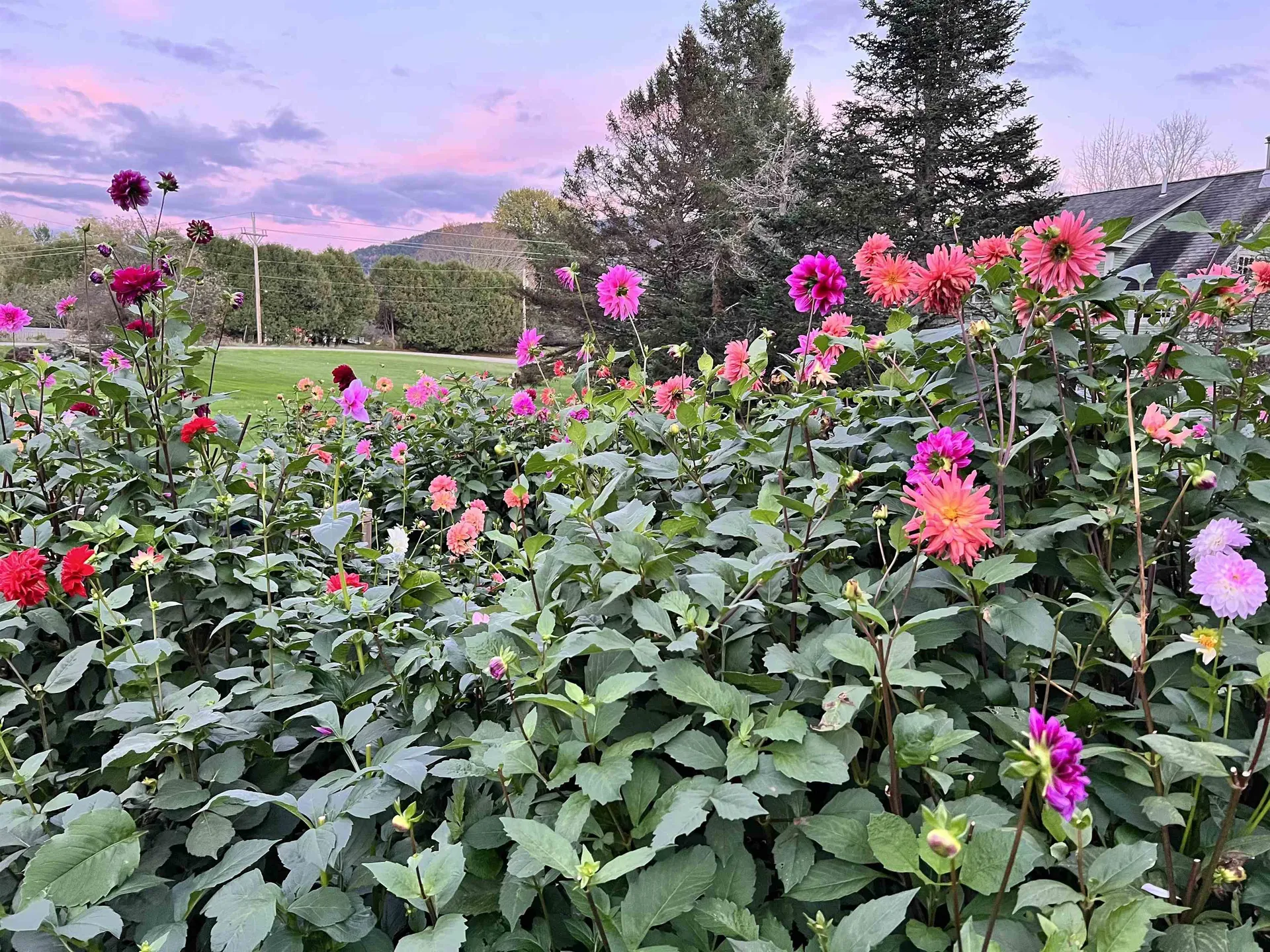 361 Riverview Road Waitsfield VT 05673