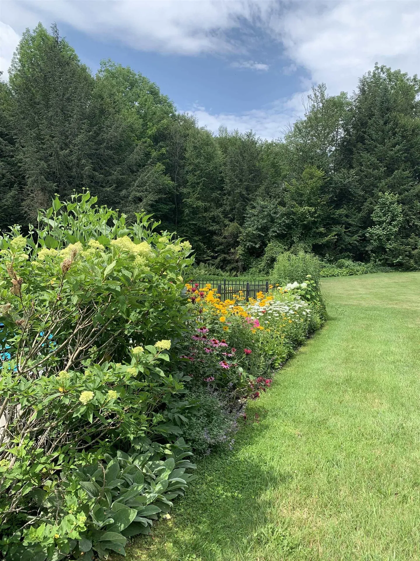 361 Riverview Road Waitsfield VT 05673