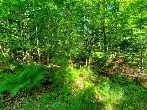 330 Hardy Hill Road Grafton NH 03240