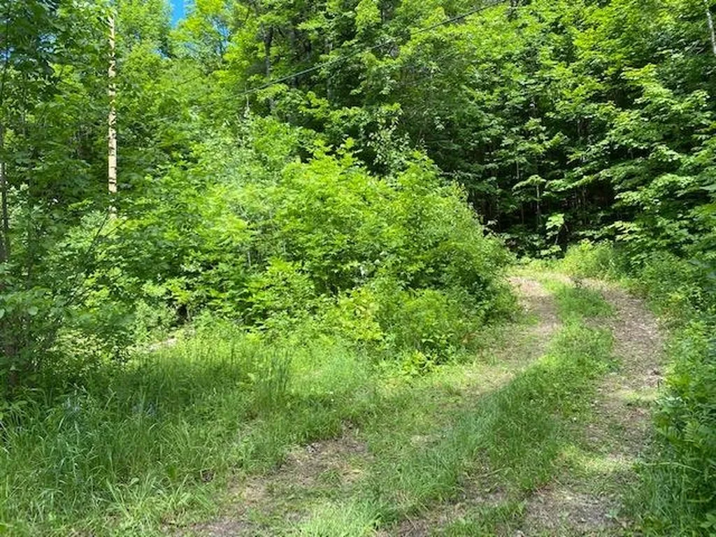 3438 Royalton Turnpike Barnard VT 05068