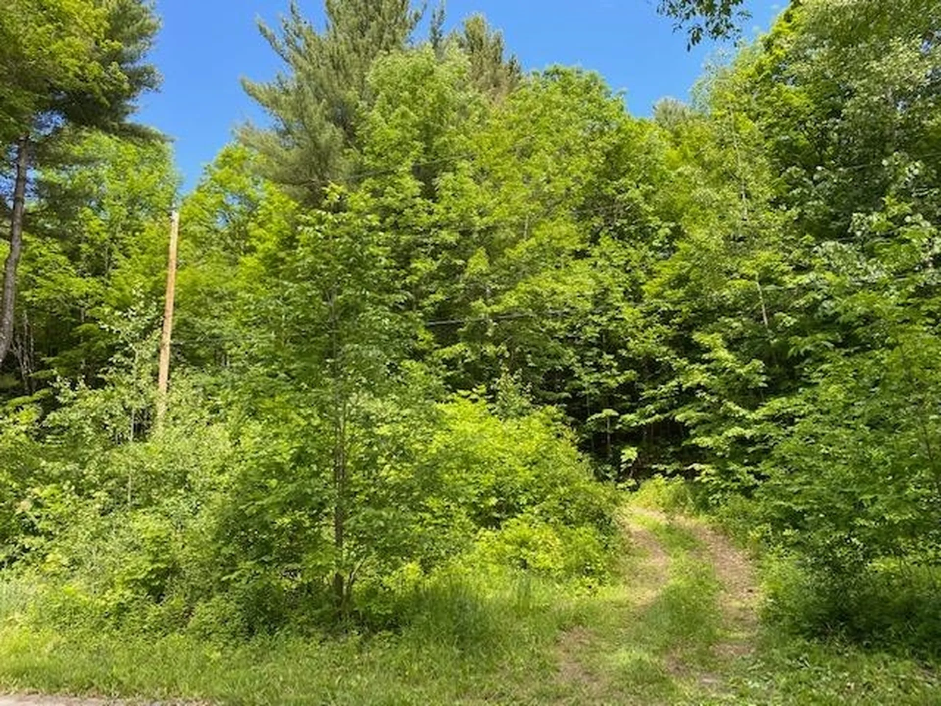 3438 Royalton Turnpike Barnard VT 05068