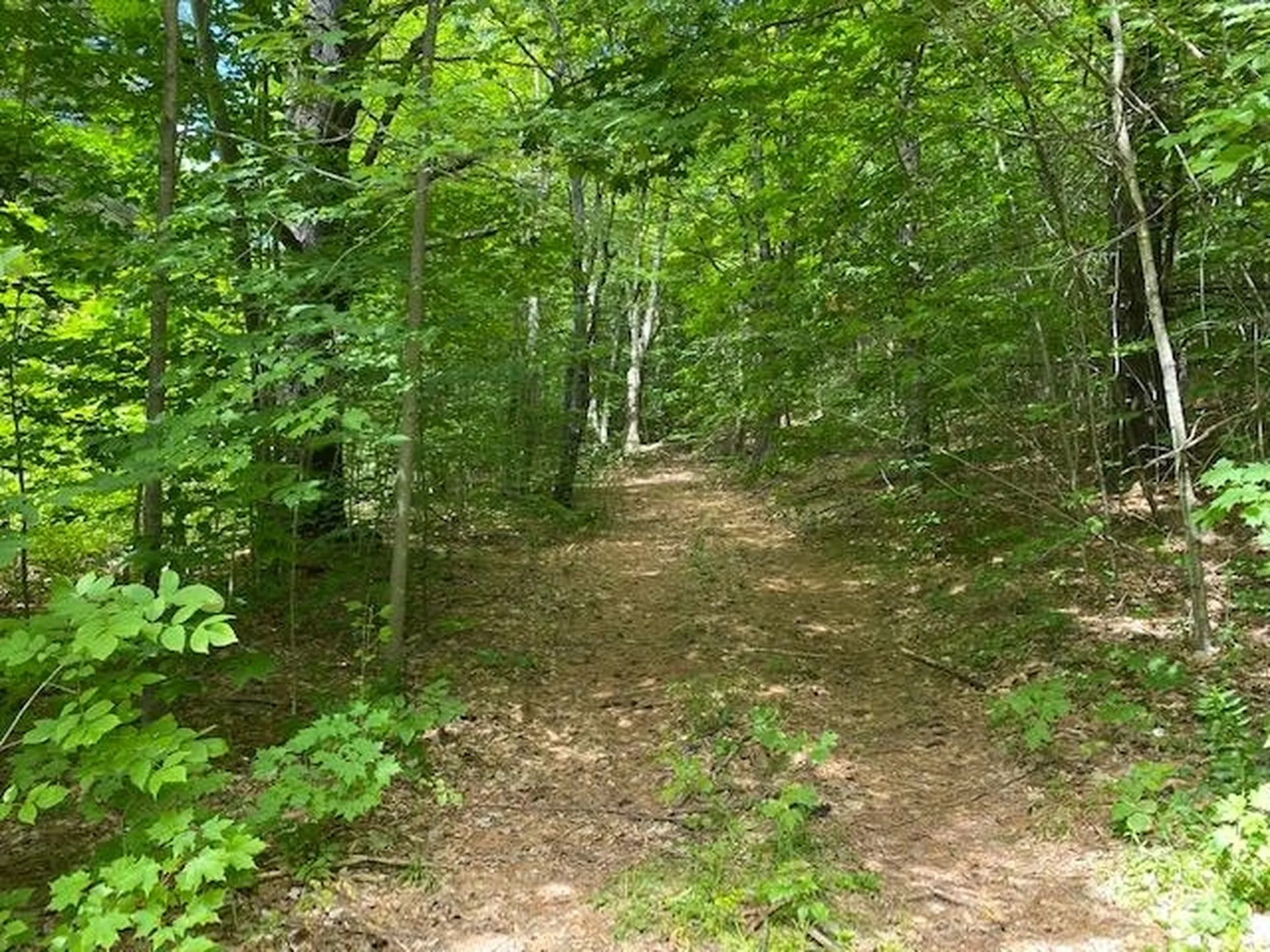 3438 Royalton Turnpike Barnard VT 05068