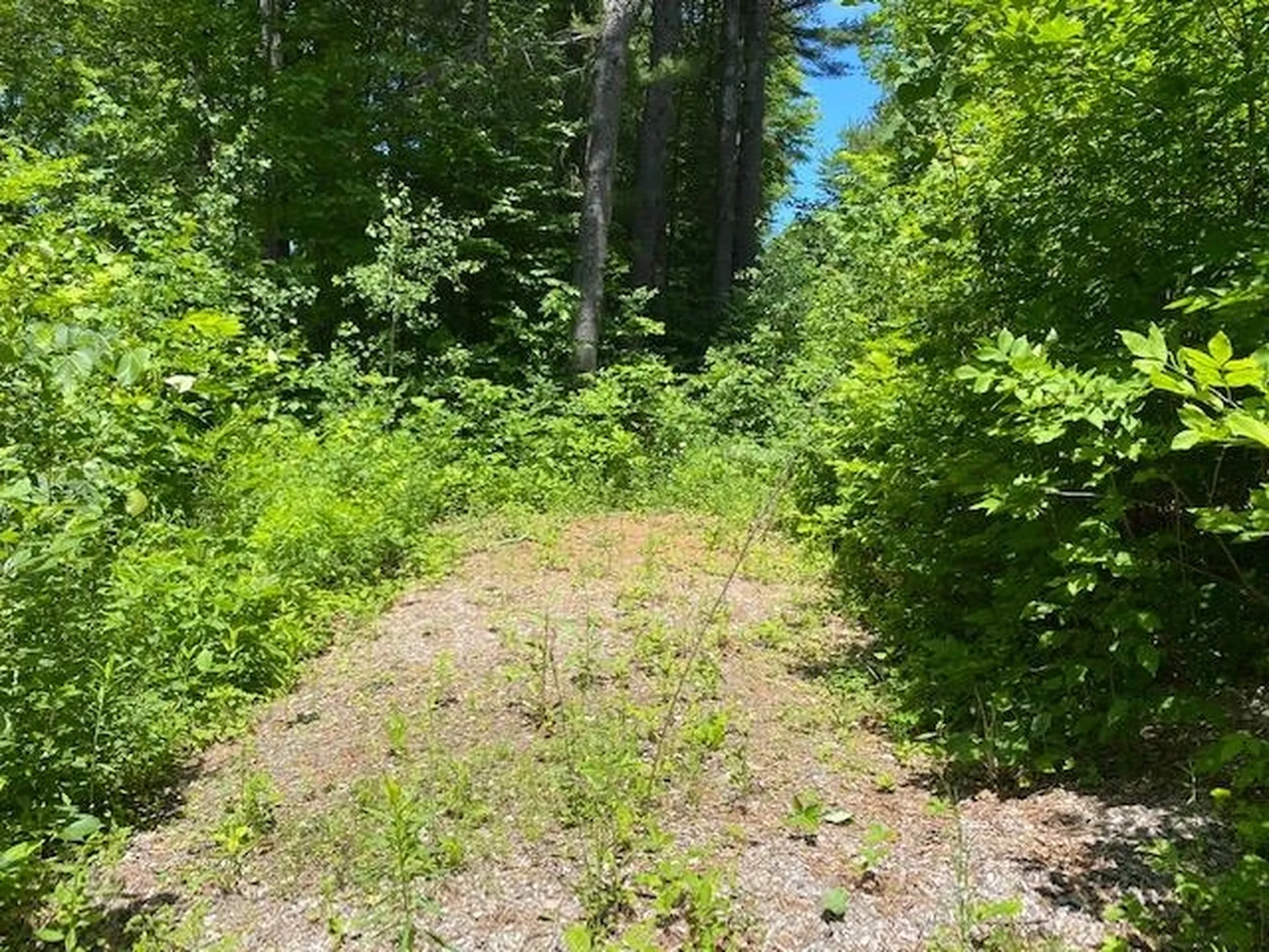 3438 Royalton Turnpike Barnard VT 05068
